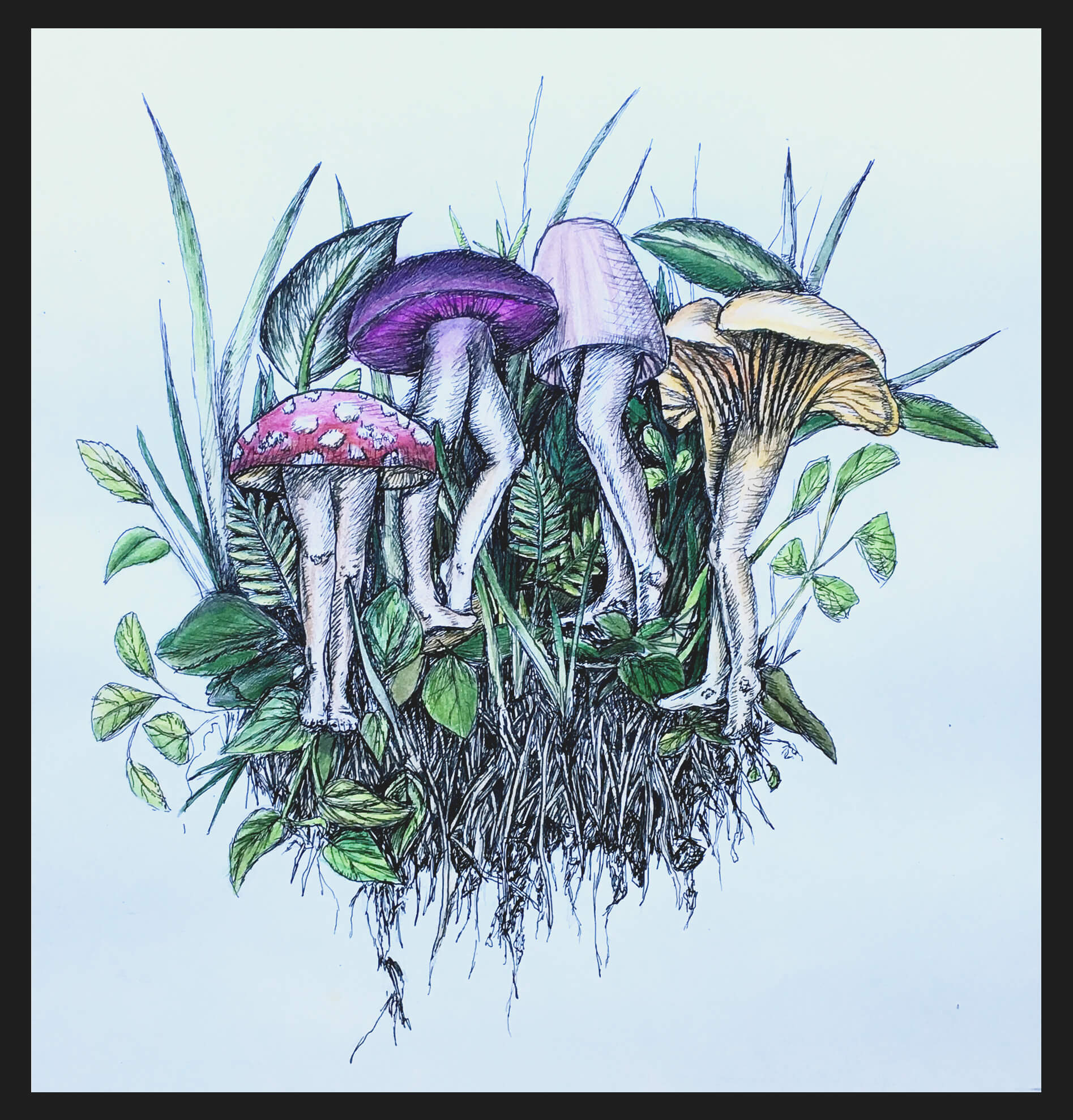 mushrooms